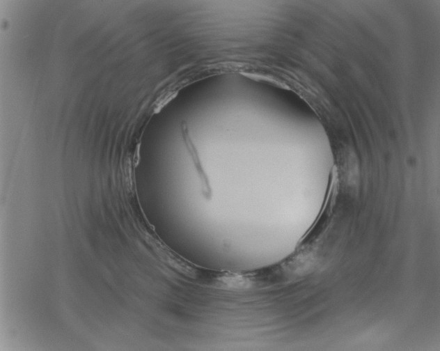 X0000069360425200605192103