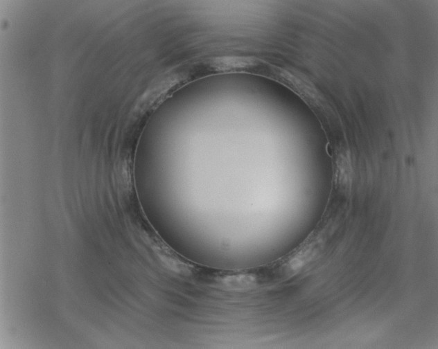 X0000069360426200605192103