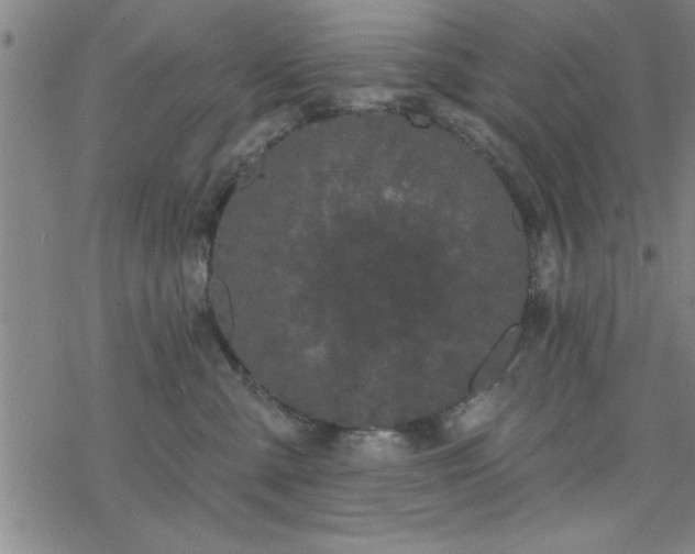 X0000069360427200605192103