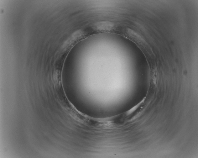 X0000069360428200605192103