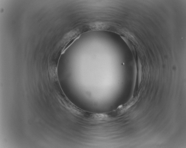 X0000069360429200605192103