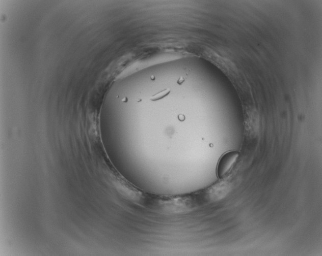 X0000069360430200605192103