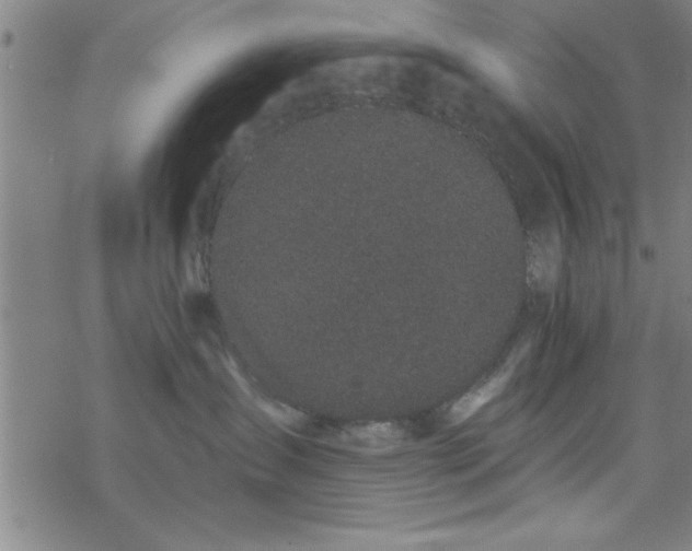 X0000069360431200605192103