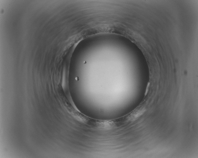 X0000069360432200605192103