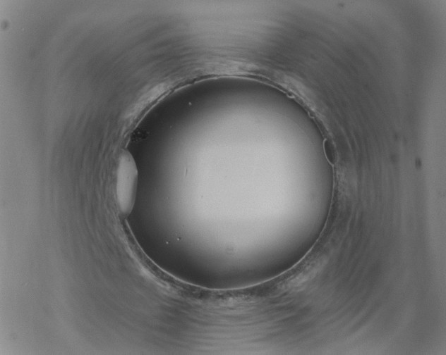 X0000069360433200605192102