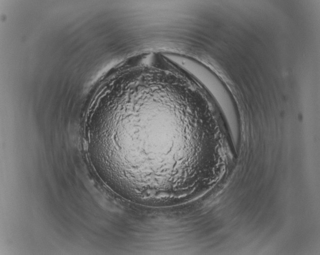 X0000069360434200605192102