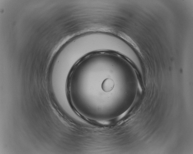 X0000069360436200605192102