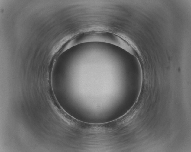 X0000069360437200605192102