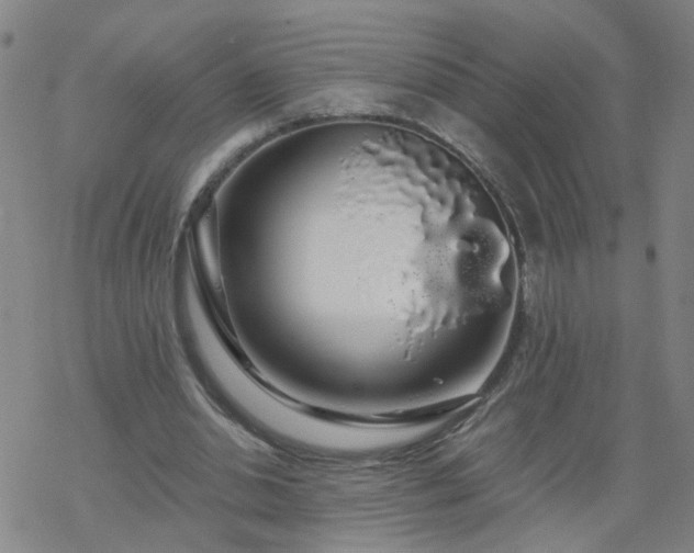 X0000069360438200605192102