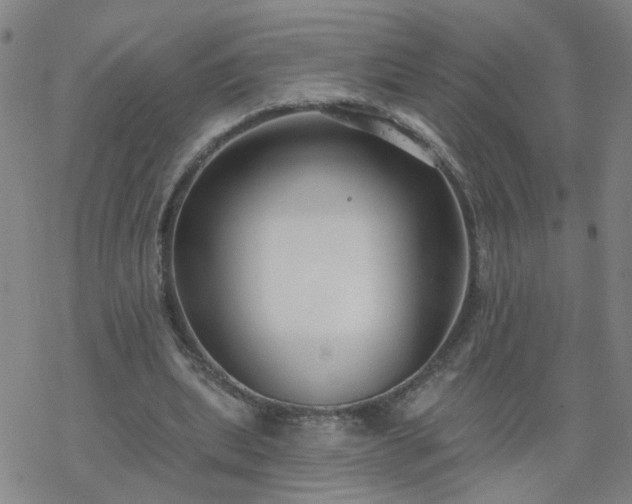 X0000069360439200605192102