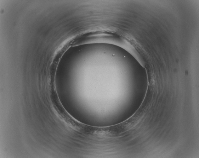 X0000069360440200605192102