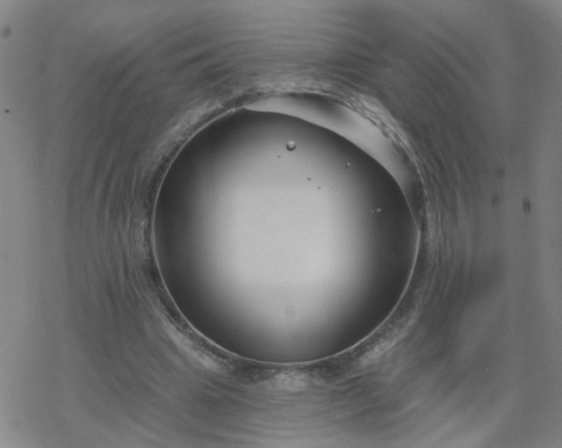 X0000069360441200605192102