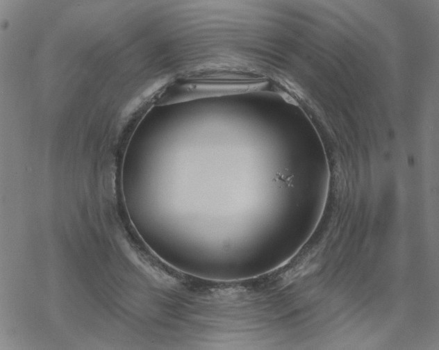 X0000069360446200605192102