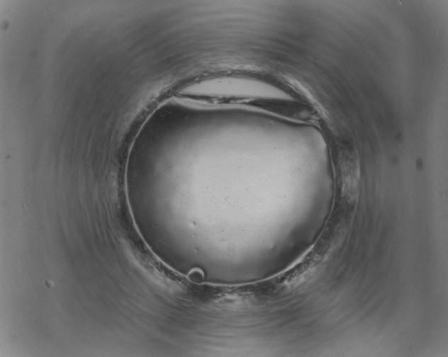 X0000069360447200605192102