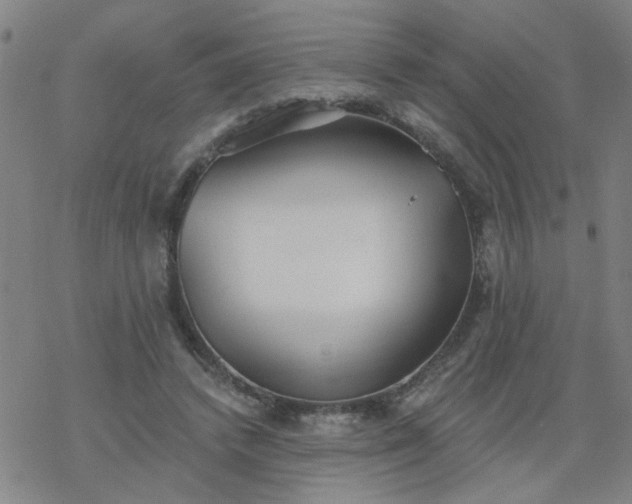 X0000069360448200605192102