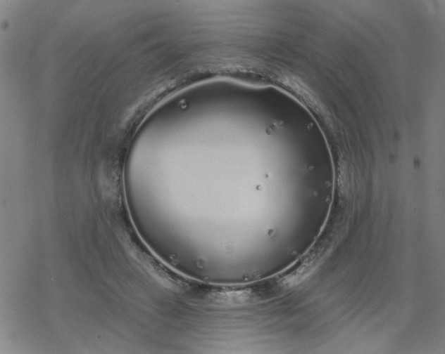 X0000069360449200605192102