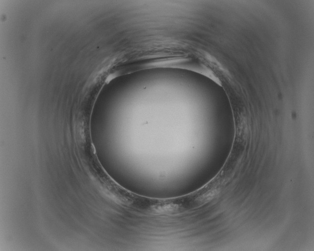 X0000069360452200605192102