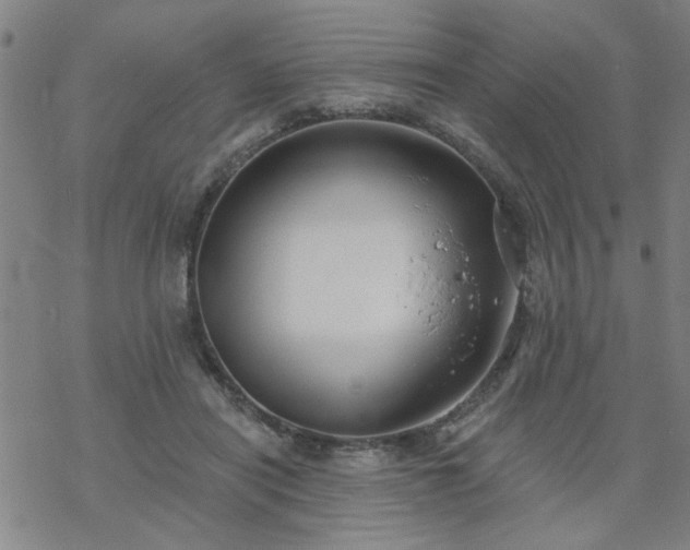 X0000069360454200605192102