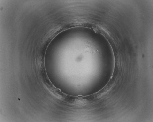 X0000069360455200605192102