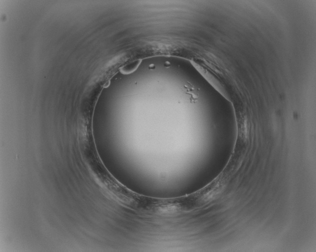 X0000069360456200605192102