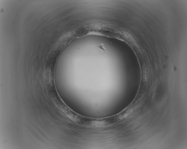 X0000069360457200605192102