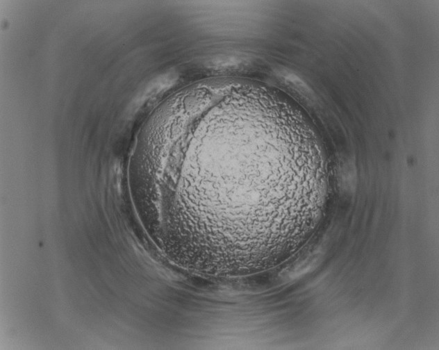 X0000069360458200605192102