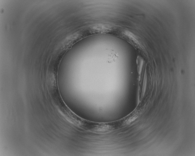 X0000069360459200605192102