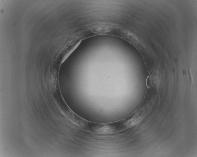 X0000069360460200605192102