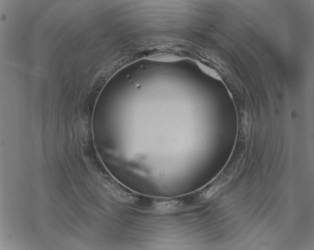 X0000069360461200605192102