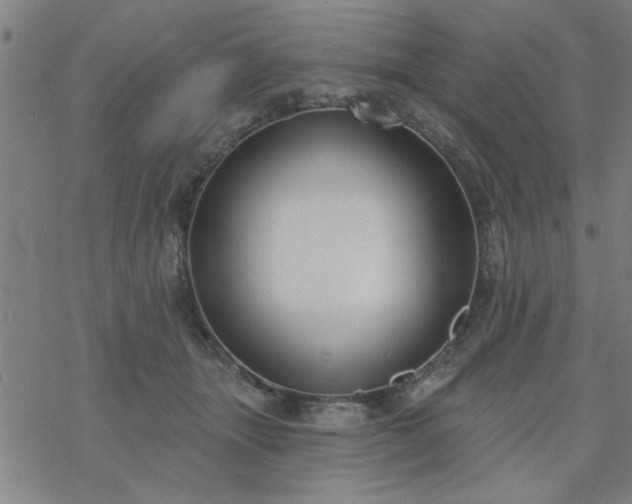 X0000069360463200605192102