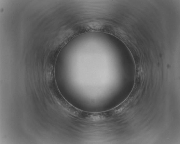 X0000069360464200605192102