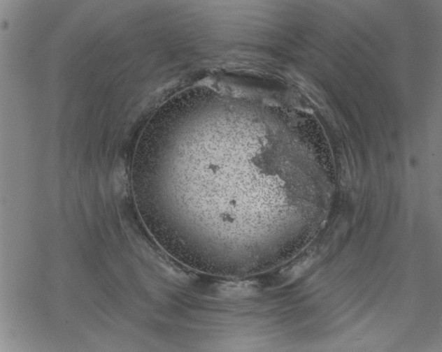 X0000069360465200605192102