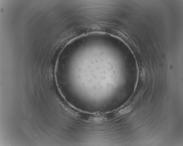 X0000069360466200605192102