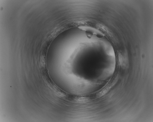 X0000069360467200605192102