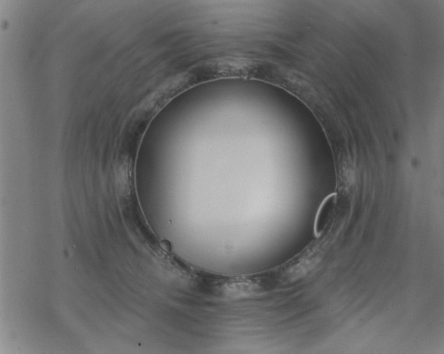 X0000069360468200605192102