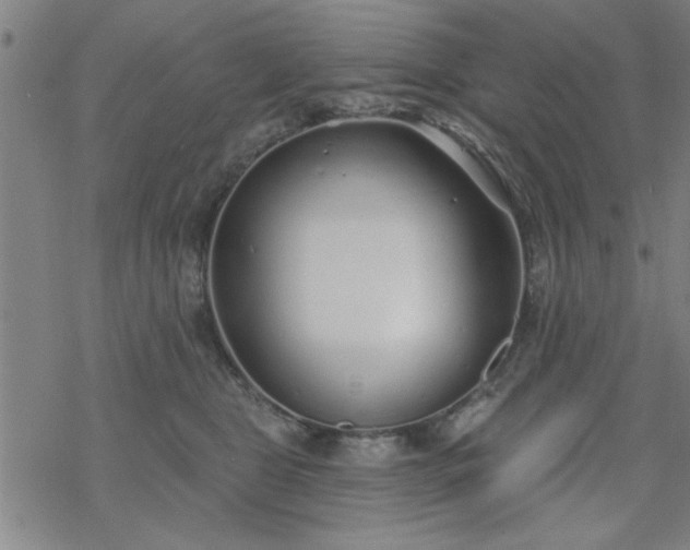 X0000069360469200605192102