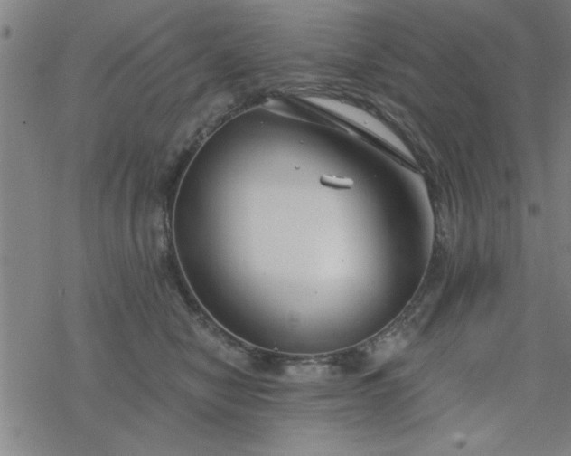 X0000069360470200605192102