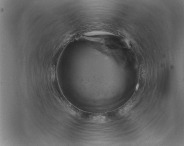 X0000069360471200605192103