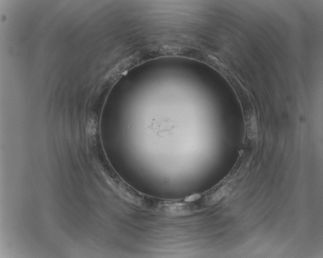 X0000069360472200605192103