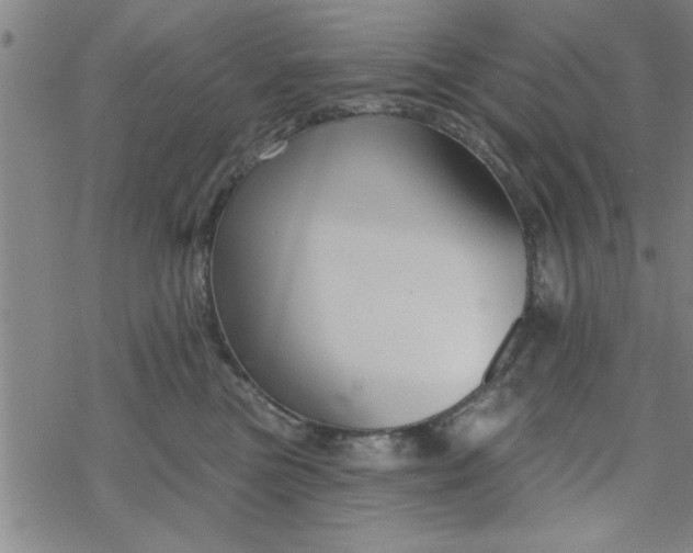 X0000069360473200605192103