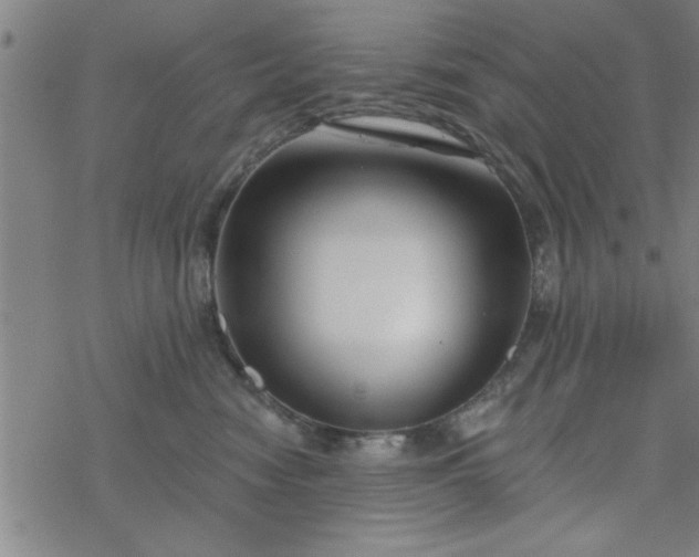 X0000069360474200605192103