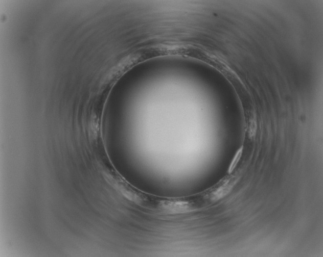 X0000069360476200605192103