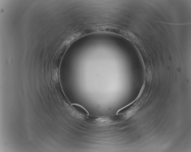 X0000069360477200605192103