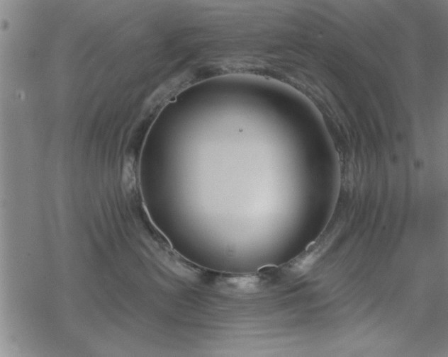 X0000069360478200605192103