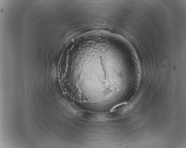 X0000069360479200605192103