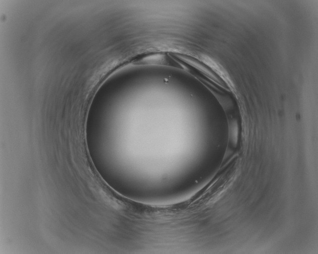 X0000069360481200605192102