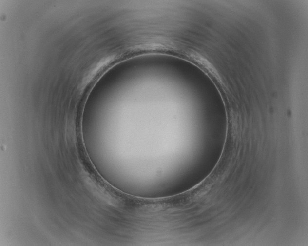 X0000069360482200605192102