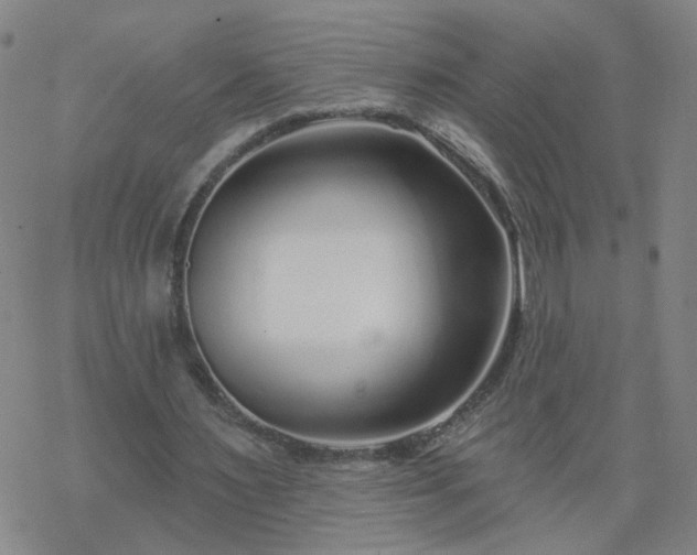 X0000069360483200605192102