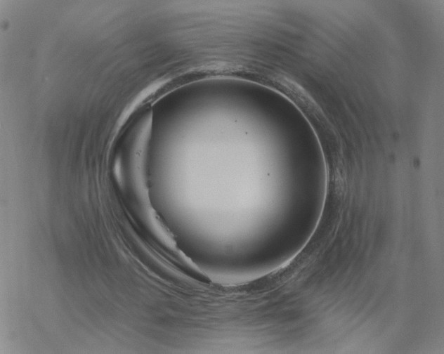 X0000069360484200605192102