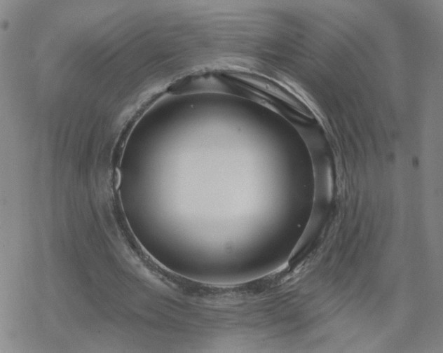 X0000069360485200605192102